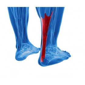 Achilles Tendon Injuries